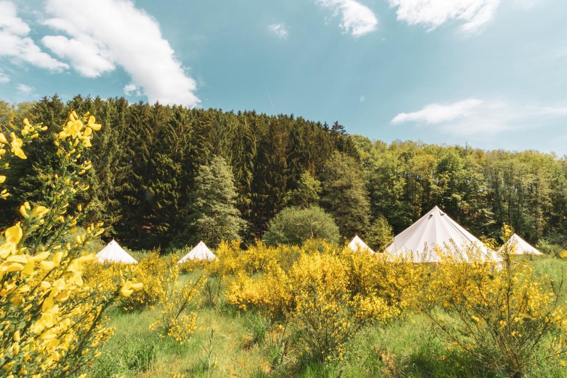 Daft & Glamping Hotel 3*